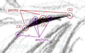 Drawing points to create a shape